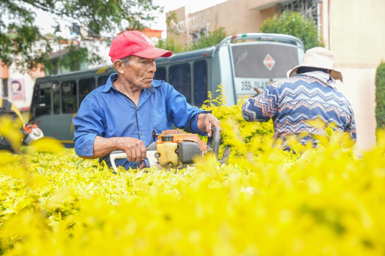 Continúa en calles del centro de la capital exitoso trabajo de 'Más territorio y menos escritorio'